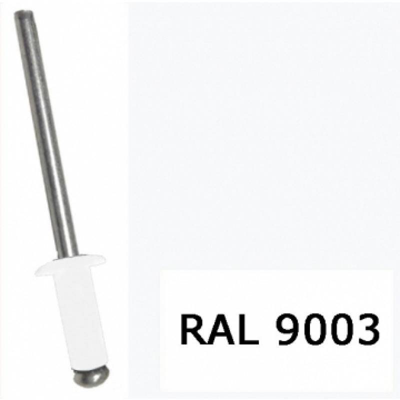 Заклепка вытяжная, окрашенная в цвета RAL 4,8x12 RAL 9003 белый (1000 шт)