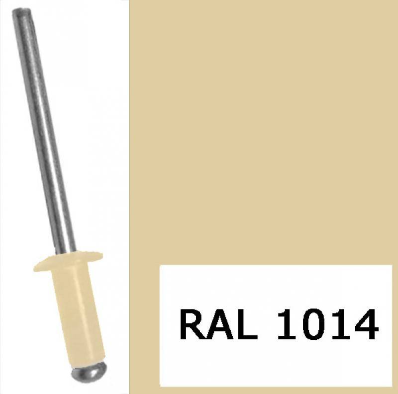 Заклепка вытяжная, окрашенная в цвета RAL 4,8x12 RAL 1014 слоновая кость (1000 шт)